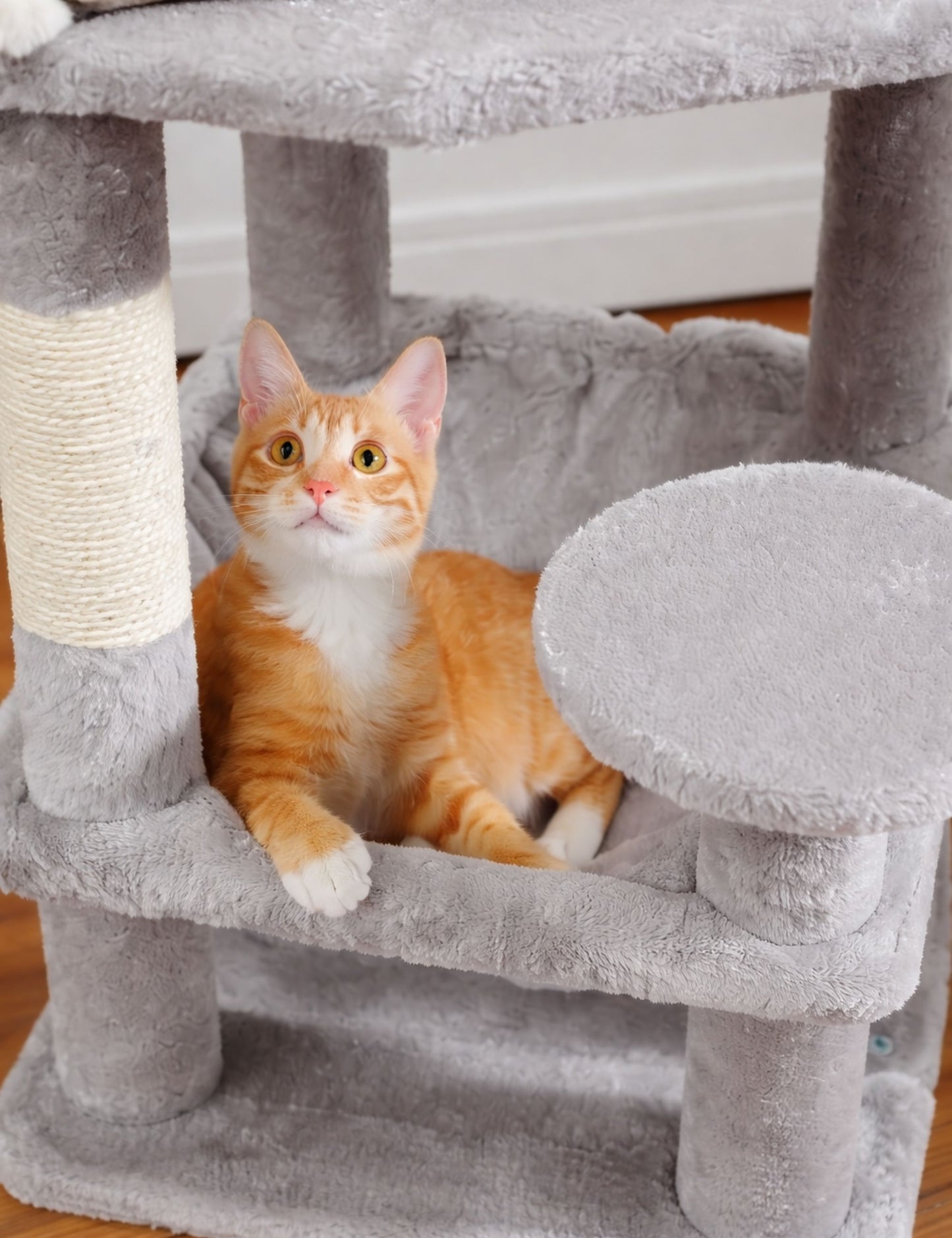 Arbre à Chat Moderne