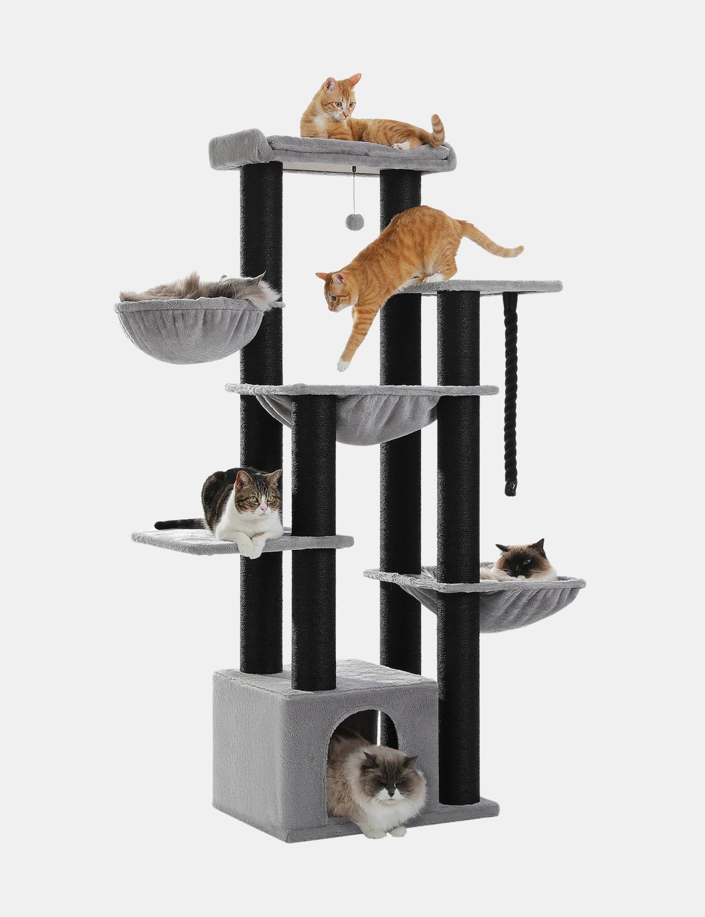 Arbre à Chat Stable