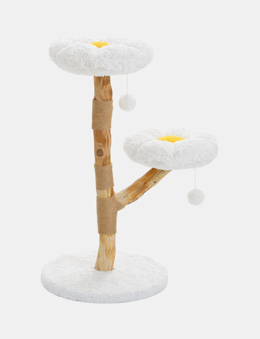 Arbre à Chat Fleur Blanc