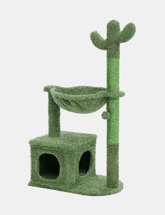Arbre à Chat Cactus Vert