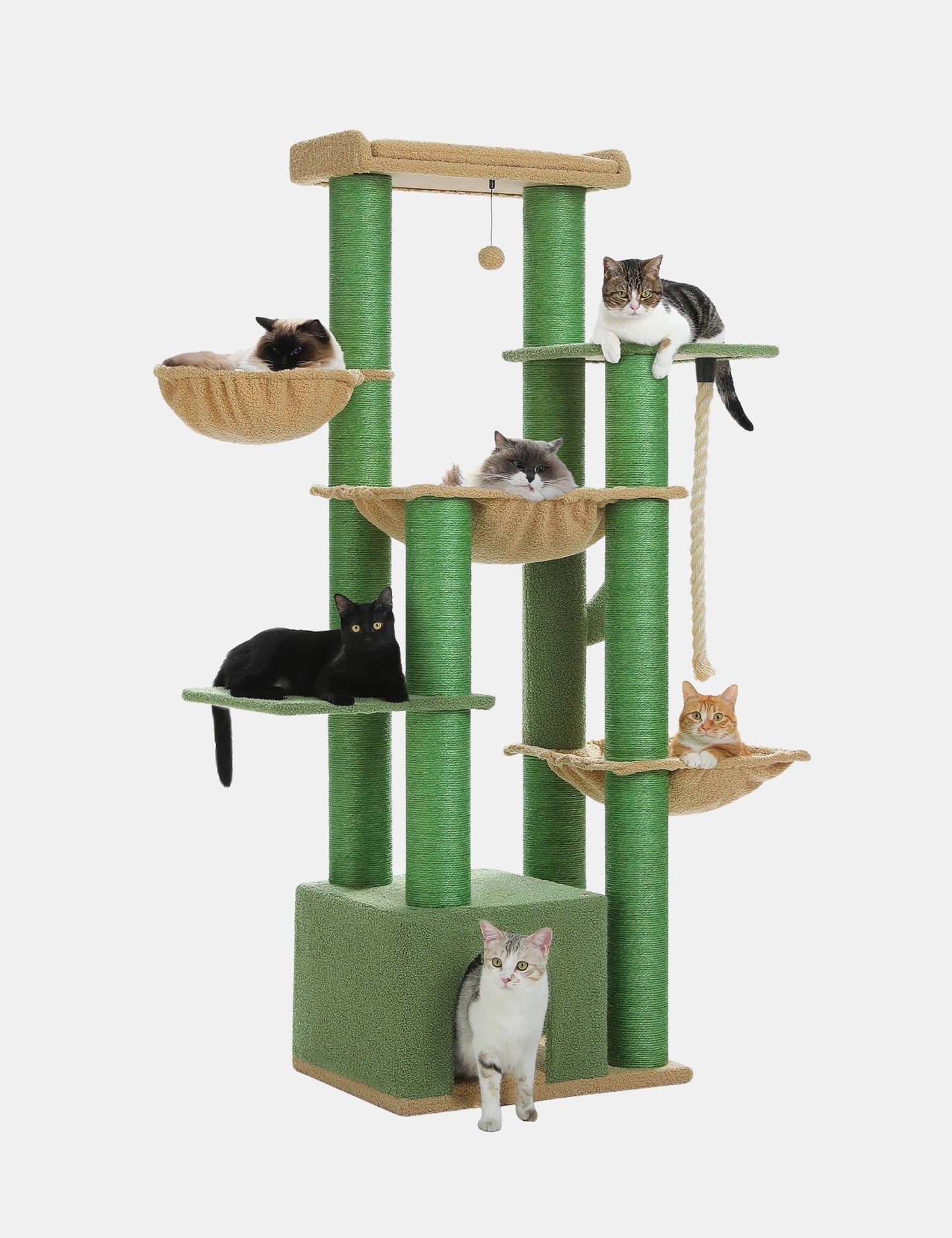 Arbre à Chat Stable