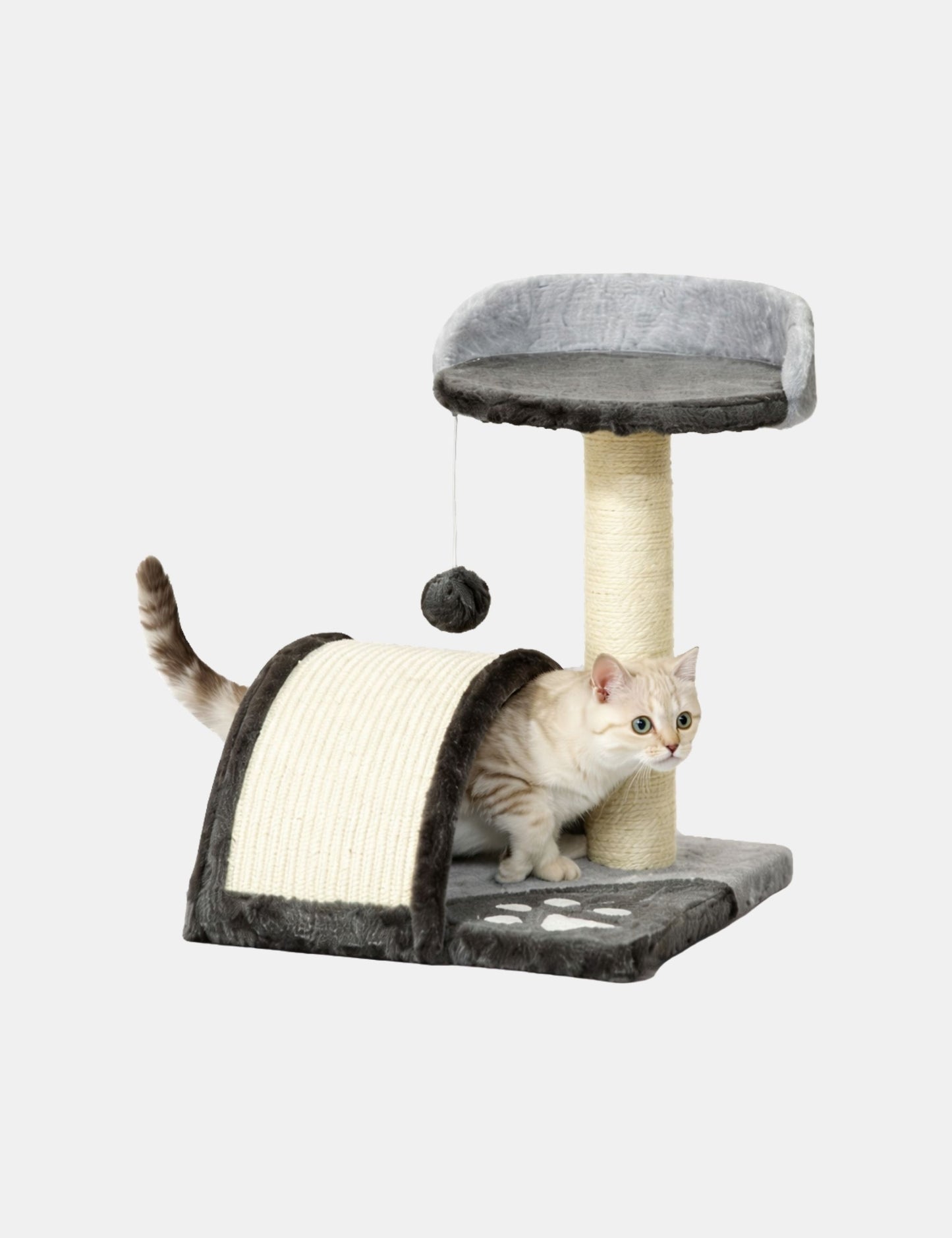 Arbre à Chat Tour Griffoir