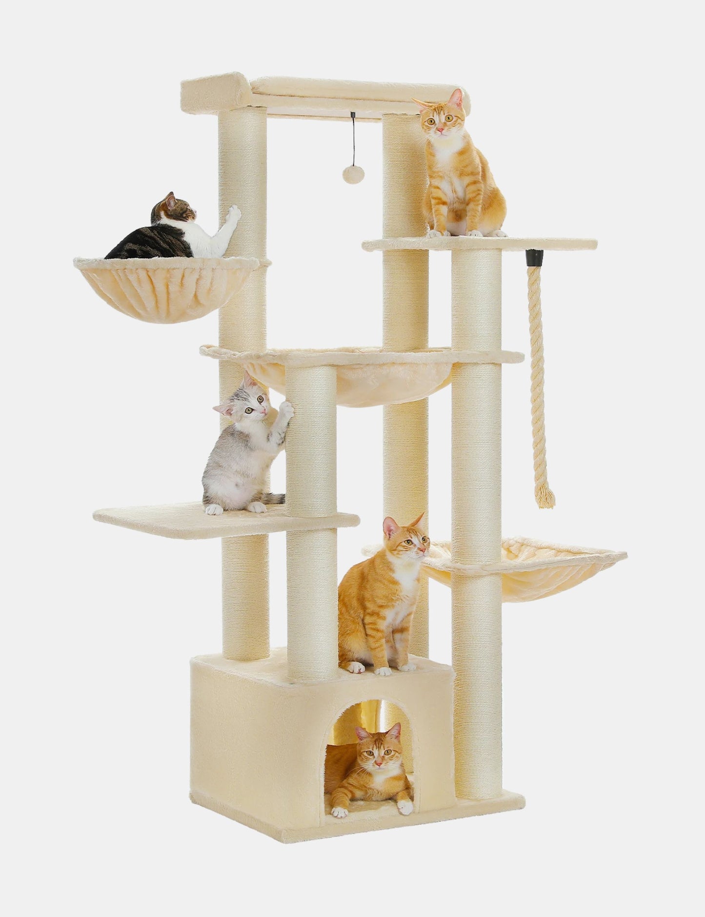 Arbre à Chat Stable