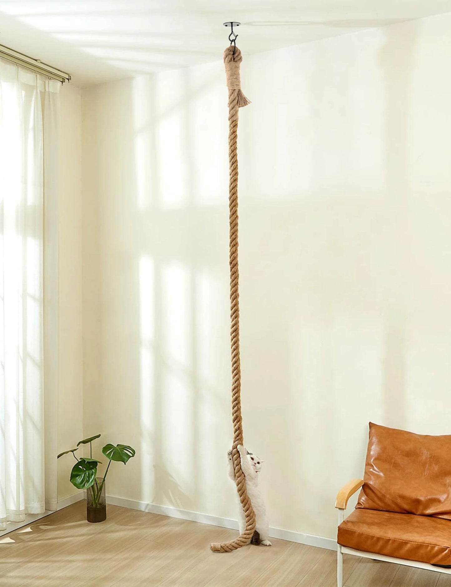 Corde Pour Chat