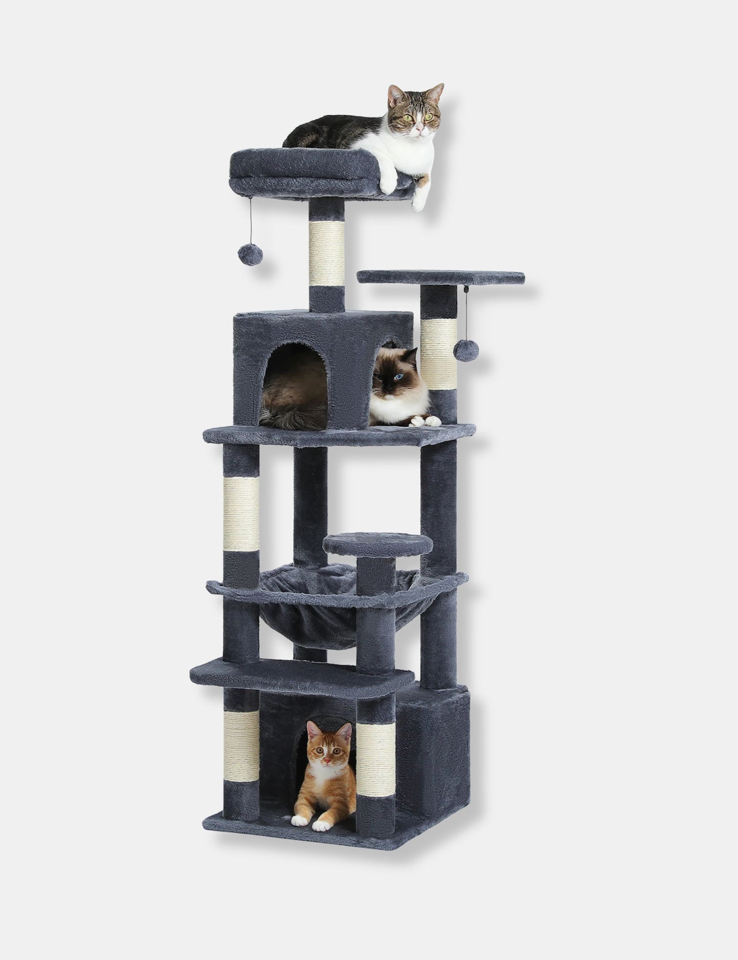 Arbre à Chat Moderne