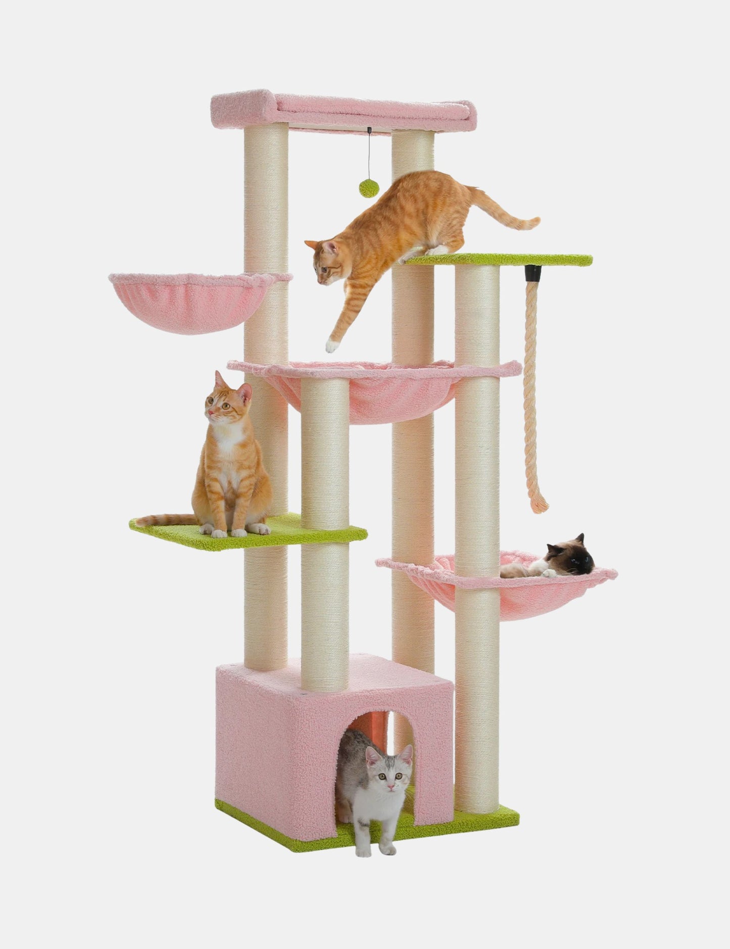 Arbre à Chat Stable