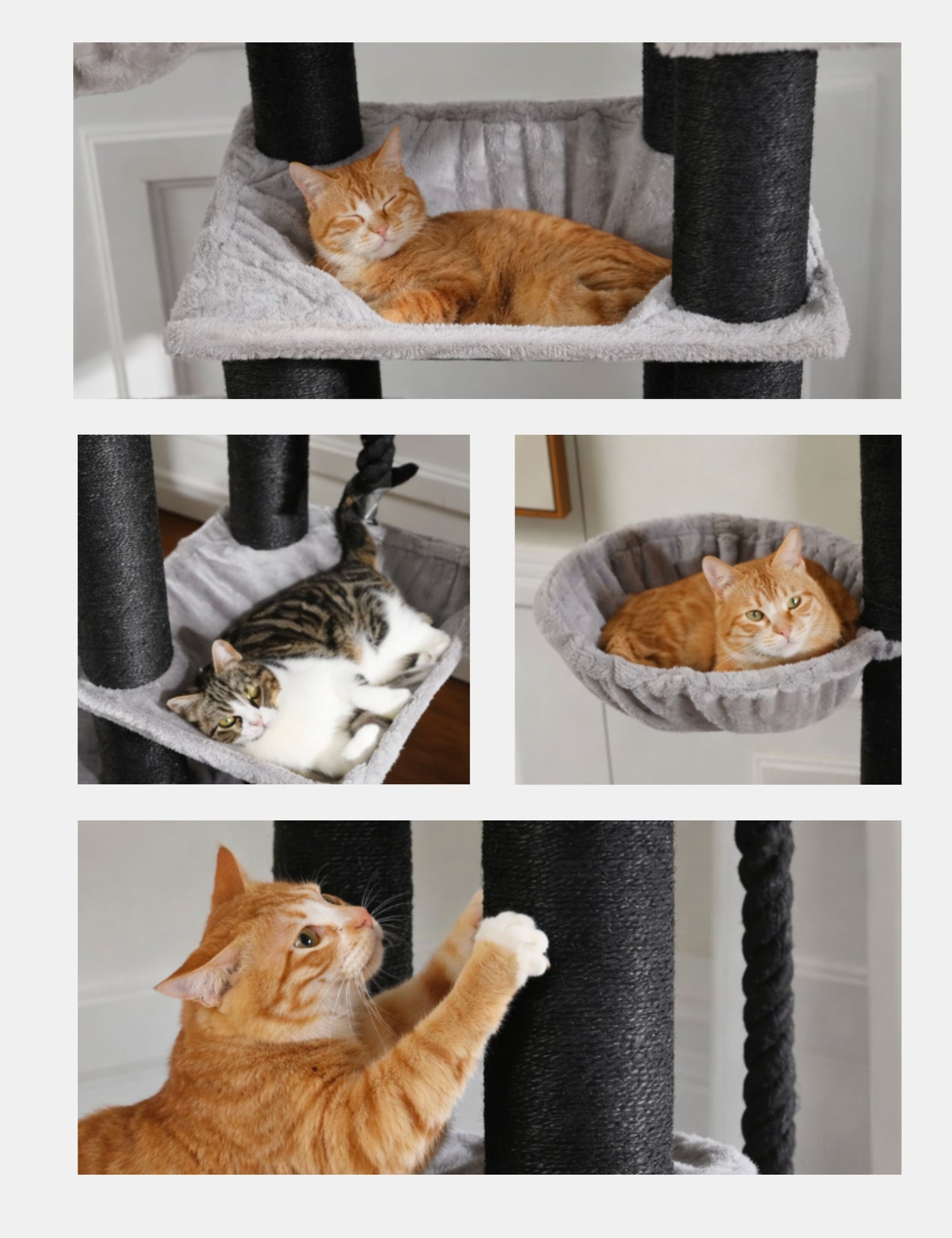 Arbre à Chat Stable