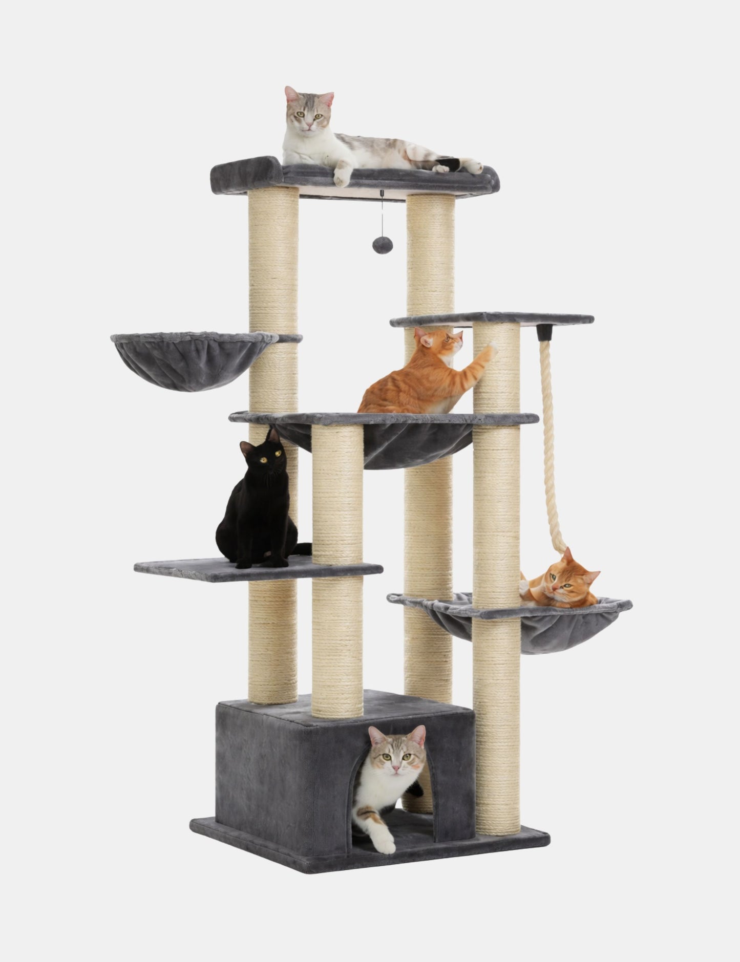 Arbre à Chat Stable