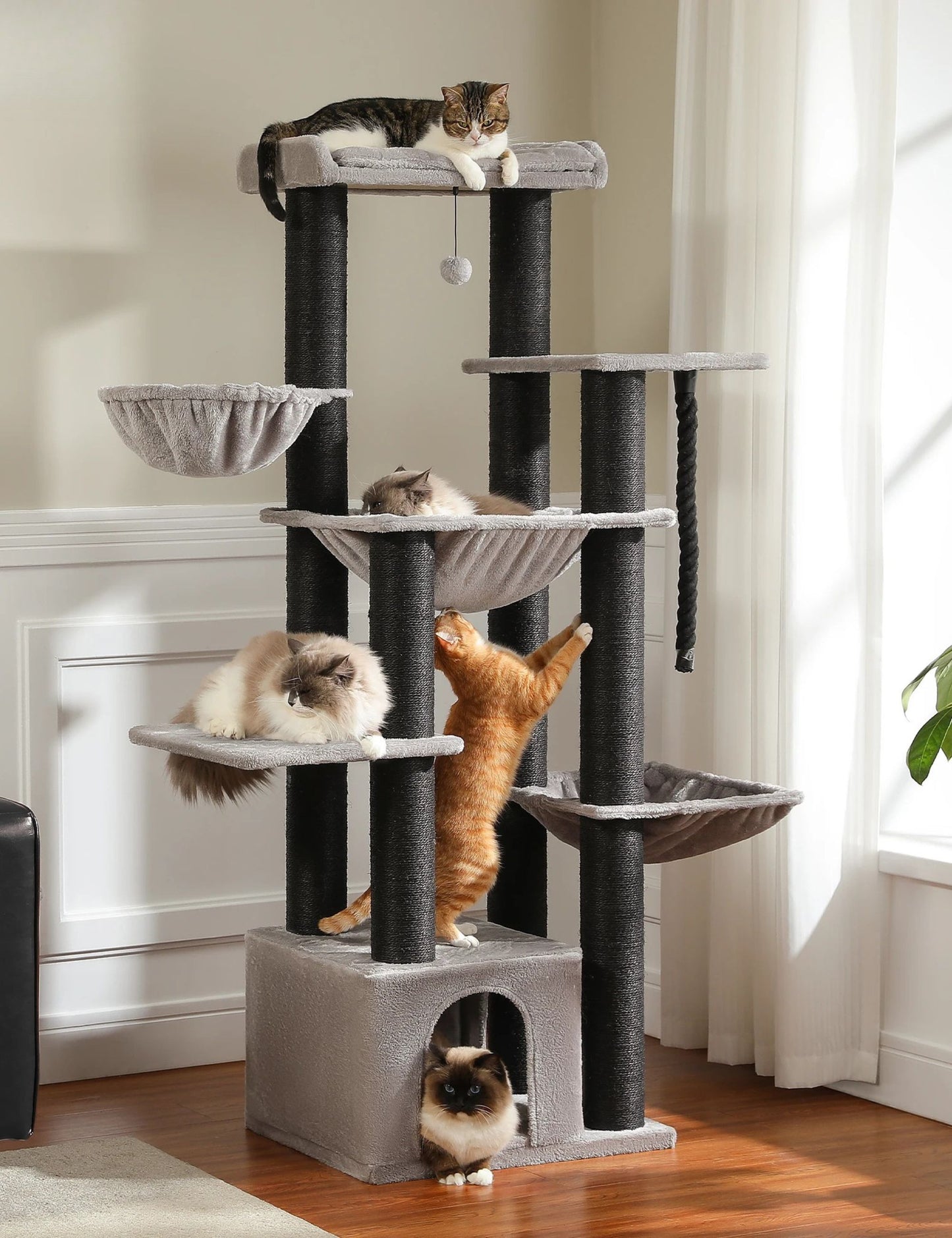 Arbre à Chat Stable