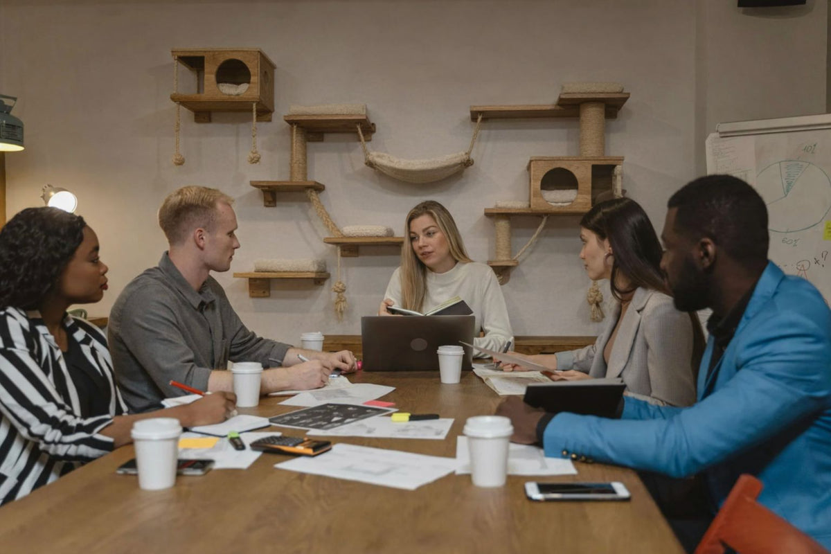 Réunis par et pour les chats